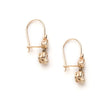 Load image into Gallery viewer, Georgian Leaf Drop Earrings