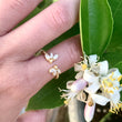 Load image into Gallery viewer, Citrus Blossom Ring