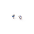 Load image into Gallery viewer, Comet Earrings
