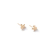 Load image into Gallery viewer, Paloma Studs