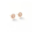 Load image into Gallery viewer, Wildflower Studs