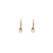 Load image into Gallery viewer, Dogwood Hoop + Petite Diamond Heart Drop Combination
